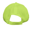 Lime - CP80 - BACK